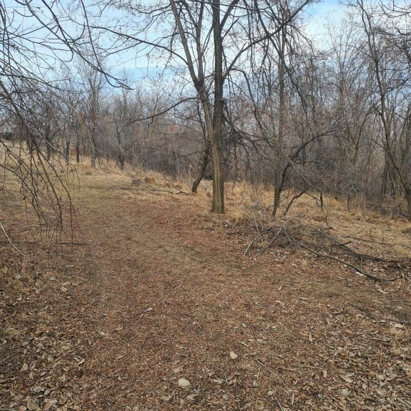 Teren intravilan de vanzare in Cornu de Jos