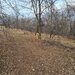Teren intravilan de vanzare in Cornu de Jos